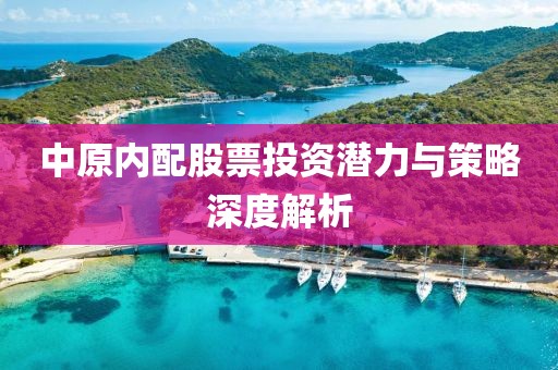 中原內(nèi)配股票投資潛力與策略深度解析