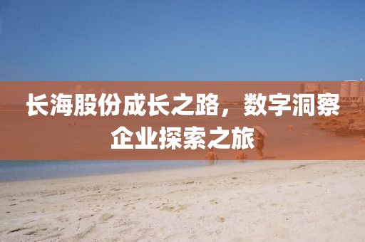 長海股份成長之路，數(shù)字洞察企業(yè)探索之旅