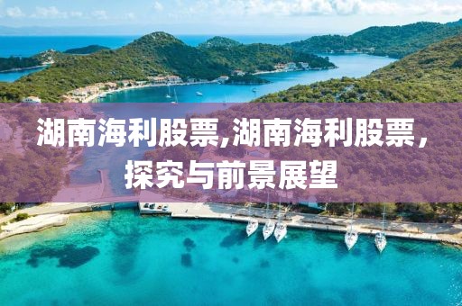 湖南海利股票,湖南海利股票，探究與前景展望