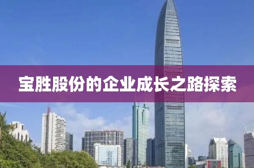 寶勝股份的企業(yè)成長(zhǎng)之路探索