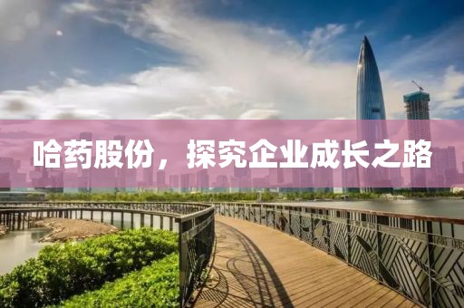 哈藥股份，探究企業(yè)成長之路