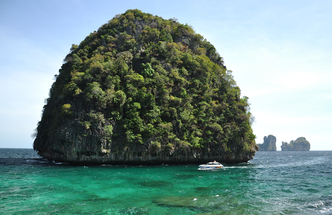 獐子島股吧，探索海洋經濟的藍色版圖之旅