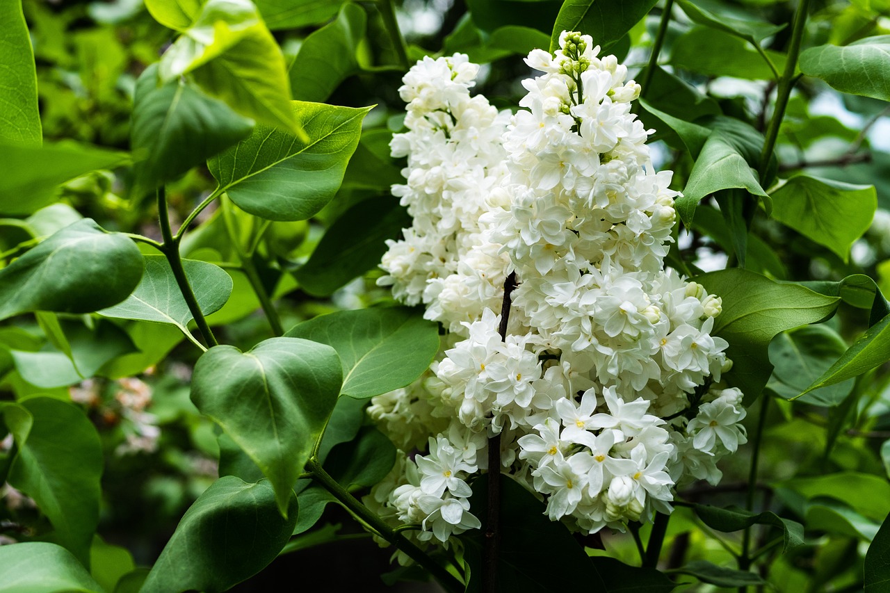 數(shù)字578的奧秘與深層含義探索