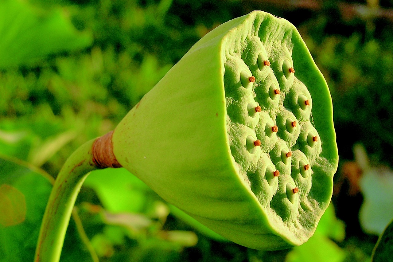 微芯生物，引領生物科技新時代的先鋒