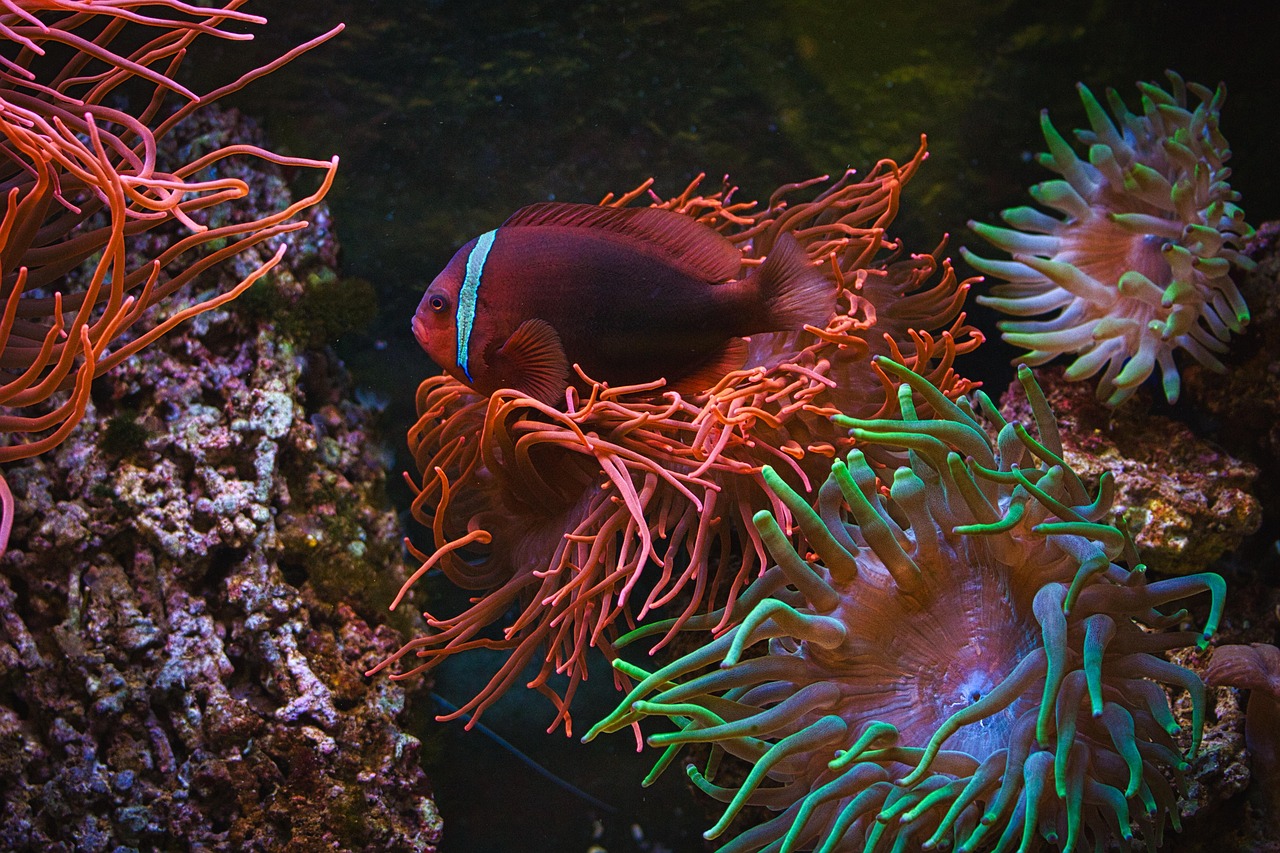 健帆生物引領生物科技新紀元突破發展壁壘，開啟未來篇章