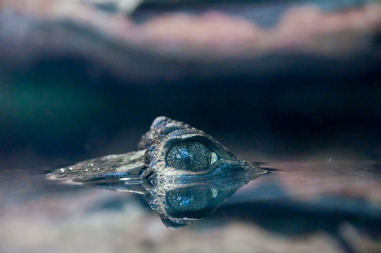 遼寧成大生物，引領(lǐng)生物技術(shù)，鑄就健康未來之路